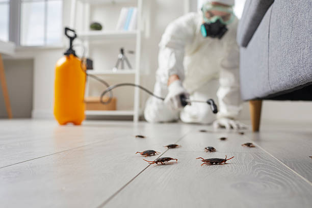 Commercial Kitchen Cockroach Control in Allendale